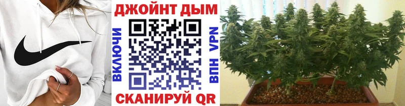 Шишки марихуана конопля  Сасово 